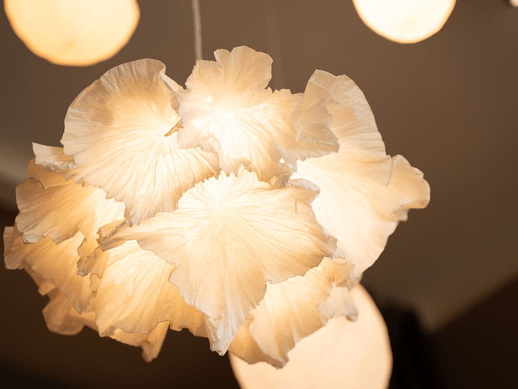 Alto Design Studio showroom — placeholder image
